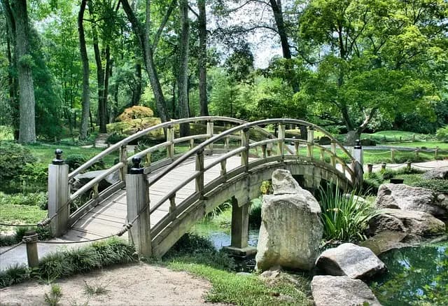 Guide d'Achat pour les Équipements de Jardinage en Soldes